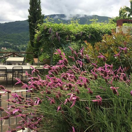 فندق Pieve Foscianaفي  Agriturismo Braccicorti المظهر الخارجي الصورة