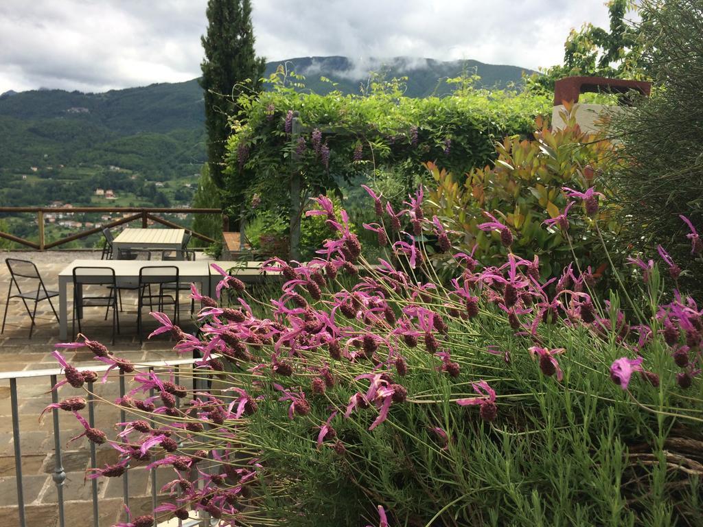 فندق Pieve Foscianaفي  Agriturismo Braccicorti المظهر الخارجي الصورة
