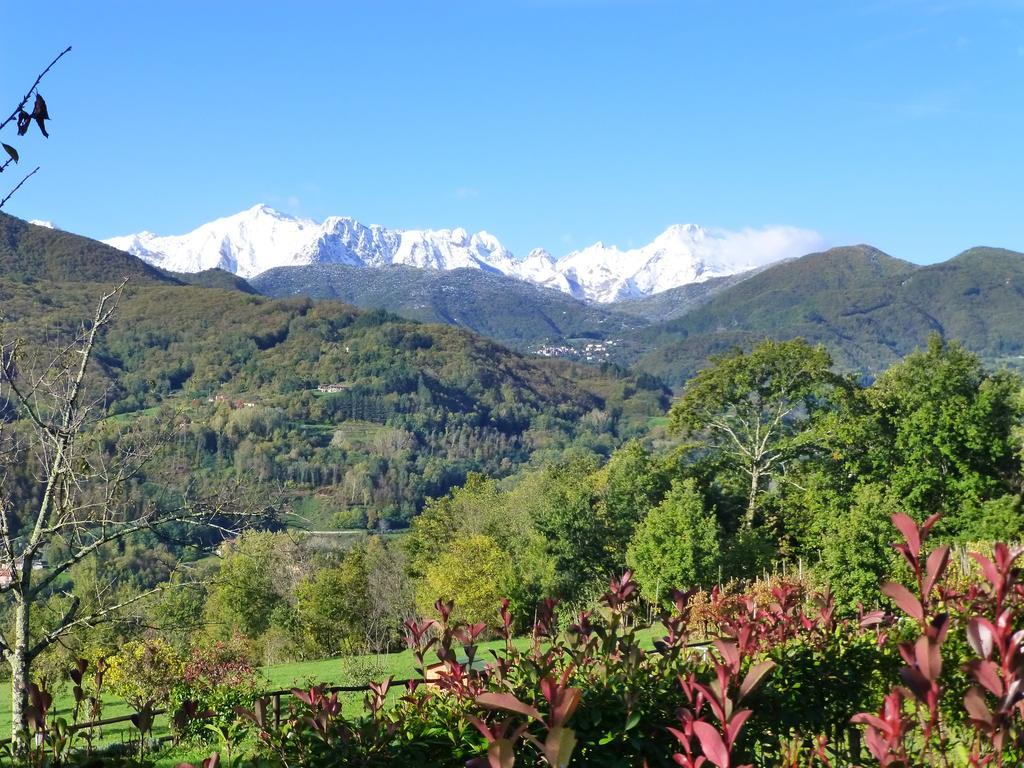 فندق Pieve Foscianaفي  Agriturismo Braccicorti المظهر الخارجي الصورة