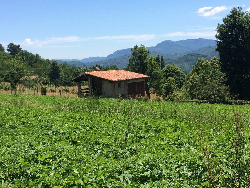 فندق Pieve Foscianaفي  Agriturismo Braccicorti المظهر الخارجي الصورة