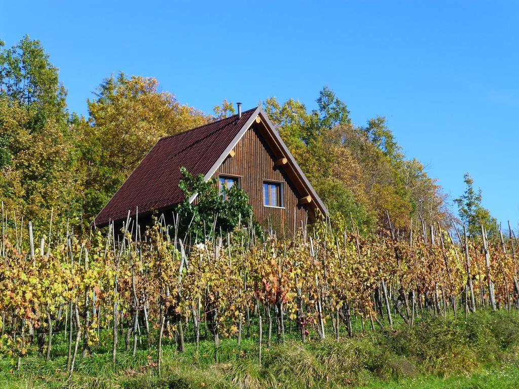 فندق Pieve Foscianaفي  Agriturismo Braccicorti المظهر الخارجي الصورة
