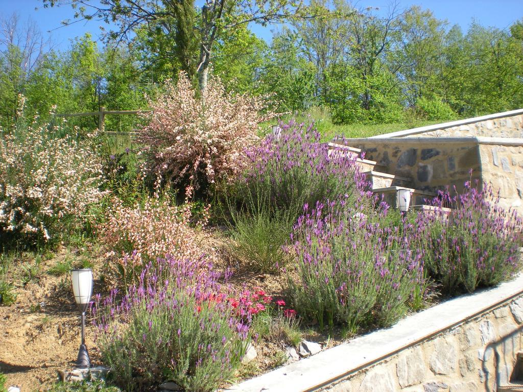 فندق Pieve Foscianaفي  Agriturismo Braccicorti المظهر الخارجي الصورة
